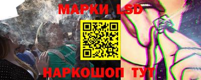 индика Краснознаменск
