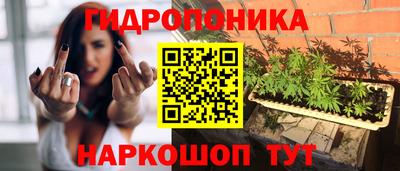 Альфа ПВП Краснокаменск