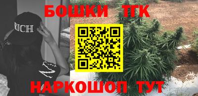индика Краснознаменск