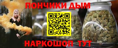 индика Краснознаменск