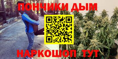 индика Краснознаменск