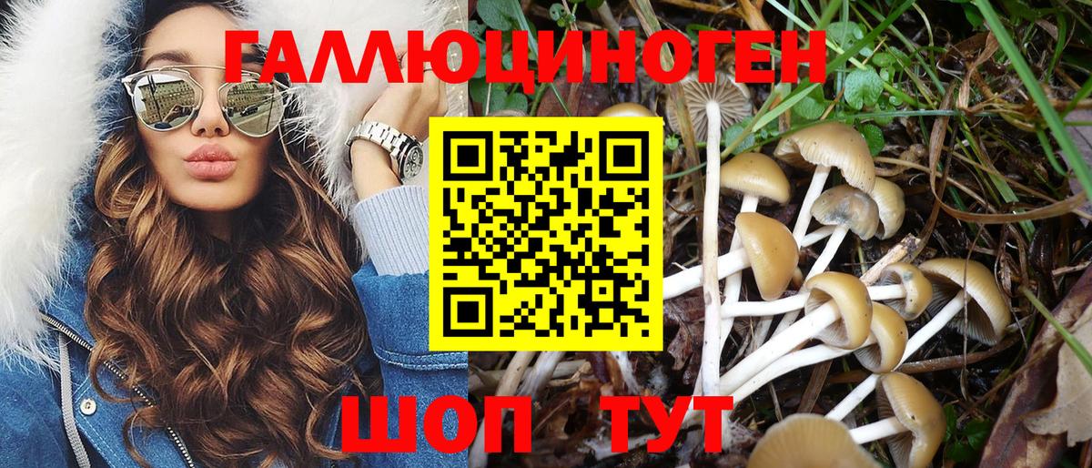 Псилоцибиновые грибы Magic Shrooms  Вход с VPN  Коряжма  Галлюциногенные грибы прущие грибы 