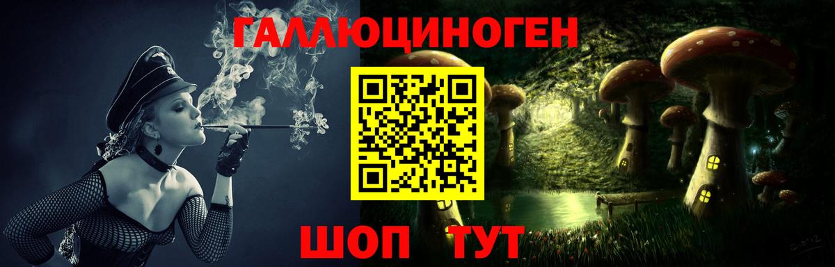 Псилоцибиновые грибы Psilocybe Коряжма